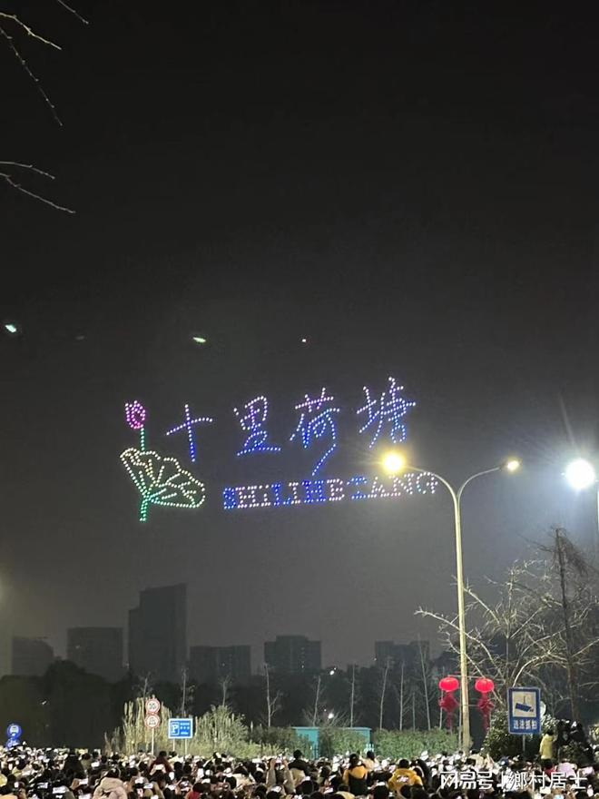 乡村春节习俗：传承千年的文化盛宴(图5)