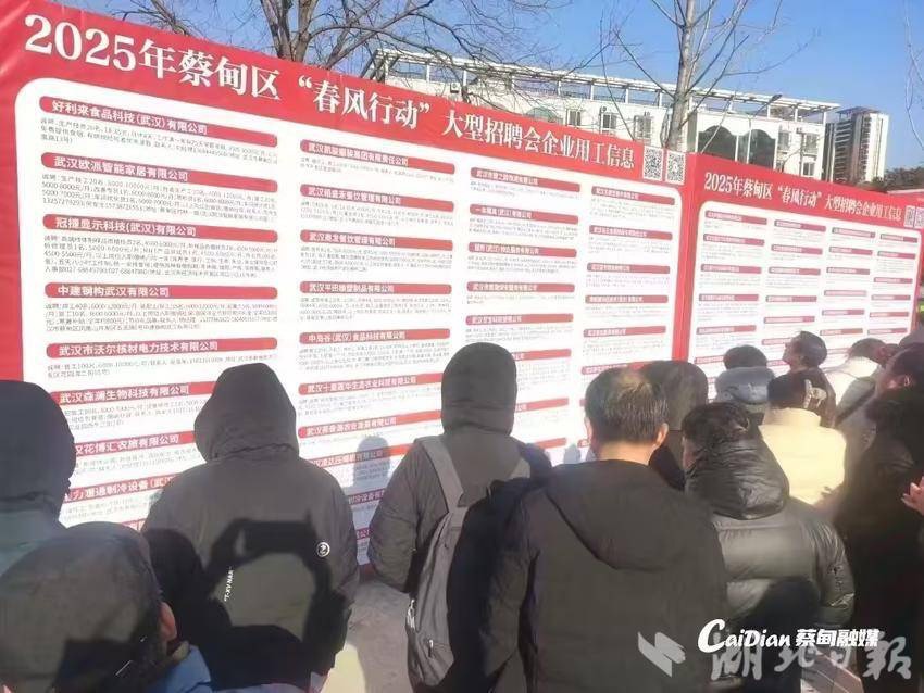 160余场招聘会提供12万个岗位 2025武汉“春风行动”将持续至3月底(图2)